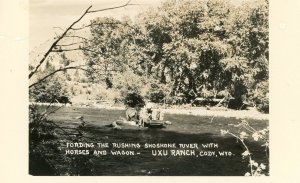 Postcard RPPC View of Horse & Wagon on Shoshone River, Cody, WY.       aa6