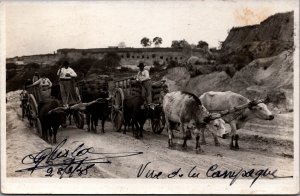 Argentina Buenos Aires Farmers Vintage RPPC C045