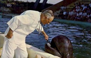 Doctor Brushes Teeth of Trained Whate - Marineland, Florida FL  