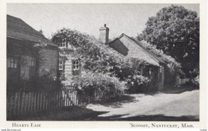 'SCONSET, NANTUCKET , Massachusetts , 1910-30s; Hearts Ease