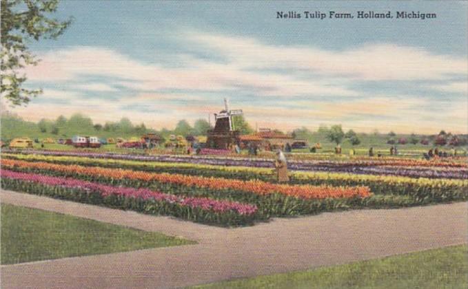 Michigan Holland Nelis Tulip Farm