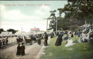 Brockton MA Fair Under the Trees c1910 Postcard
