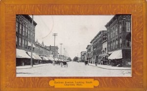 Cochrane Avenue Looking South Charlotte Michigan 1911 postcard