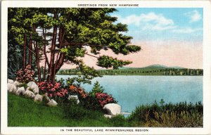 Lake Winnipesaukee Greetings New Hampshire WOB Vintage Postcard 1c Stamp PM  