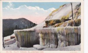 Pulpit & Jupiter Terraces Yellowstone National Park