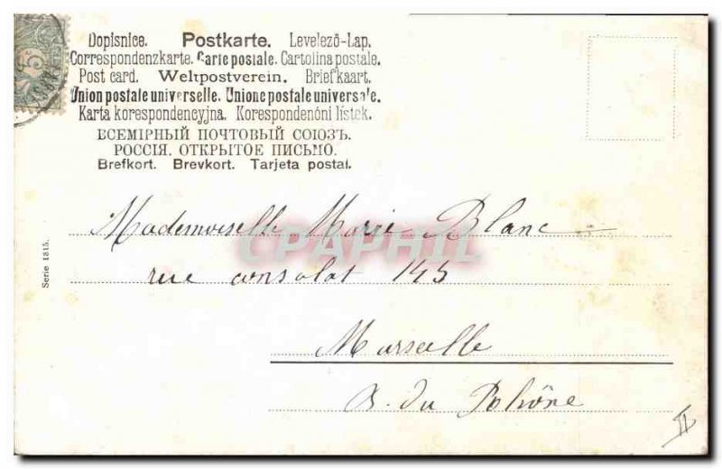 Postcard Old Deer Hunting Dog