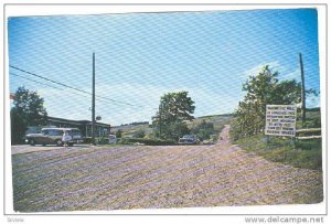 Casrs Coasting Up Hill Without Power Magnetic Hill, New Brunswick, Canada, PU...