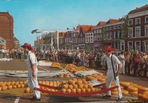 Alkmaar Holland Fruit Orange Market Vendors Postcard