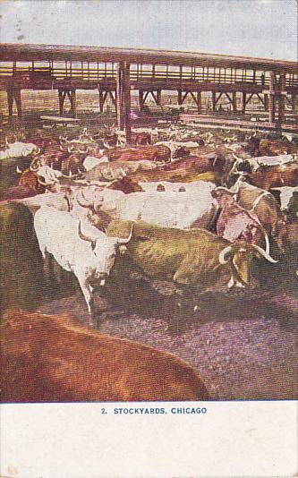 Illinois Chicago Cattle Pens Union Stockyards