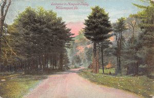 Entrance to Mosquito Valley Williamsport, Pennsylvania PA Postcards