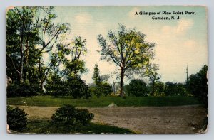 Pine Point Park in Camden New Jersey Vintage Postcard 1685