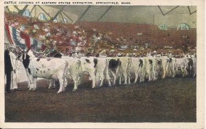 Springfield MA, Cattle Judging, Eastern States Exposition, Fair, 1920's