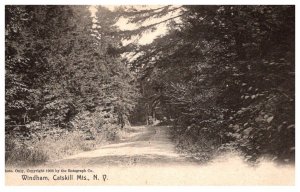 New York    Catskill   Mtns. Windham