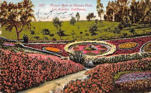 Flower Beds, Elysian Park Los Angeles, California, USA 1915 writing on front