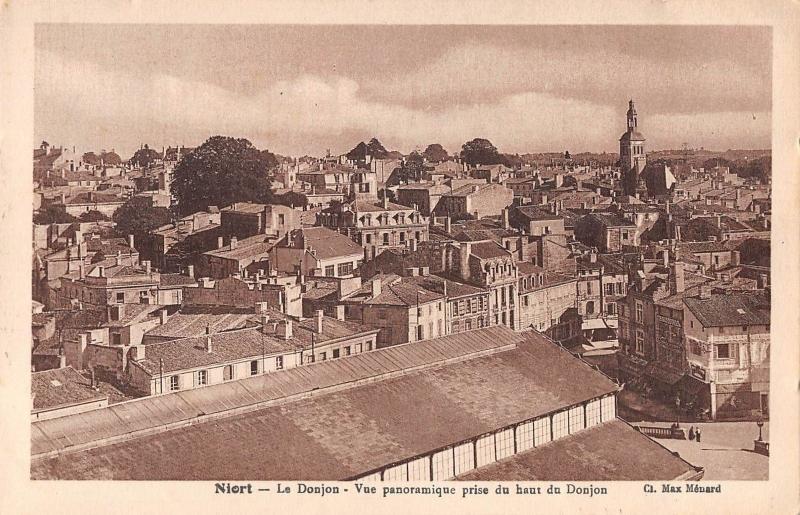 BF8017 niort le donjon vue panoramique prise du haut du france       France