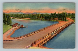 Yellowstone National Park WY, Fishing Bridge, Lake, Linen Wyoming c1952 Postcard 