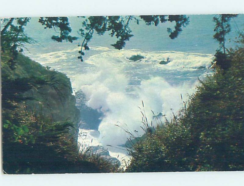 Pre-1980 NATURE SCENE Big Sur - Near Carmel California CA AD5984