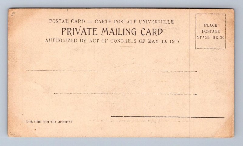 WATER SUPPLY PIPE BAMBOO GROVE MANILA PHILIPPINES POSTCARD (c.1905)