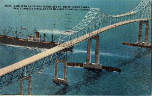 Sunshine Skyway Tampa Bay Pinellas Manatee Florida US 19 Coast Vintage Postcard 