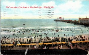 Postcard NJ Atlantic City Bird's Eye View of the Beach at Maryland Ave. 1911 F11