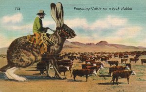 Vintage Postcard 1930's View of Punching Cattle on a Jack Rabbit Texas Panhandle