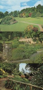 Killerton Gardens Devon 3x Postcard s