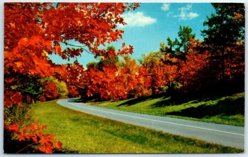 Autumn Color Along the Parkway - Blue Ridge Parkway - Virginia-North Carolina