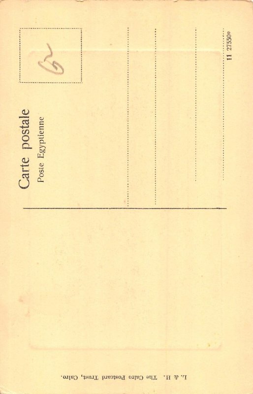A664 Egypt Cairo Caire Donkey Ethnic Passepartout vintage postcard