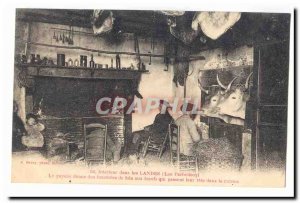 Interior in the Moors (Lou Pachedeny) Old Postcard The farmer gives hay to ox...