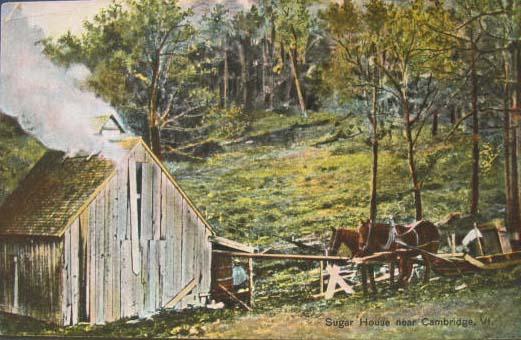 Cambridge VT Sugar House c1910 Postcard