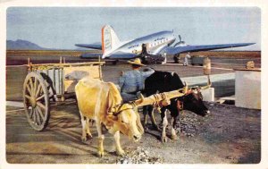 American Airlines Flagship Plane in Mexico 1950s postcard
