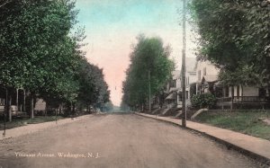 Vintage Postcard 1915 Youmans Avenue Roadway Pathway Washington New Jersey N.J.