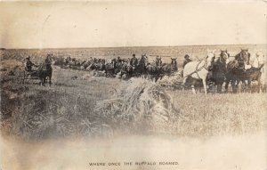 H57/ LeRoy Minnesota RPPC Postcard c1910 Farming Harvest Horses Buffalo Roam 59