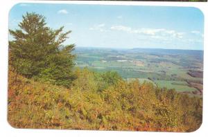 Pennsylvania Scenes Lambs Lookout Loyalsock PA (3 cards)