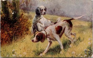 Hunting Dogs c1907 Vintage Postcard W60