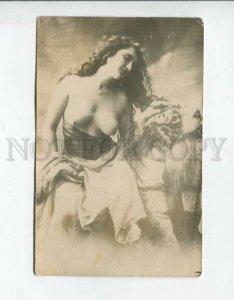 3161164 Semi-Nude BELLE Long Hair & TIGER Vintage PHOTO