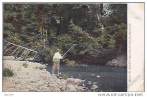 Where the Speckled Beauties lie near Bethlehem,  New Hampshire, PU-1937