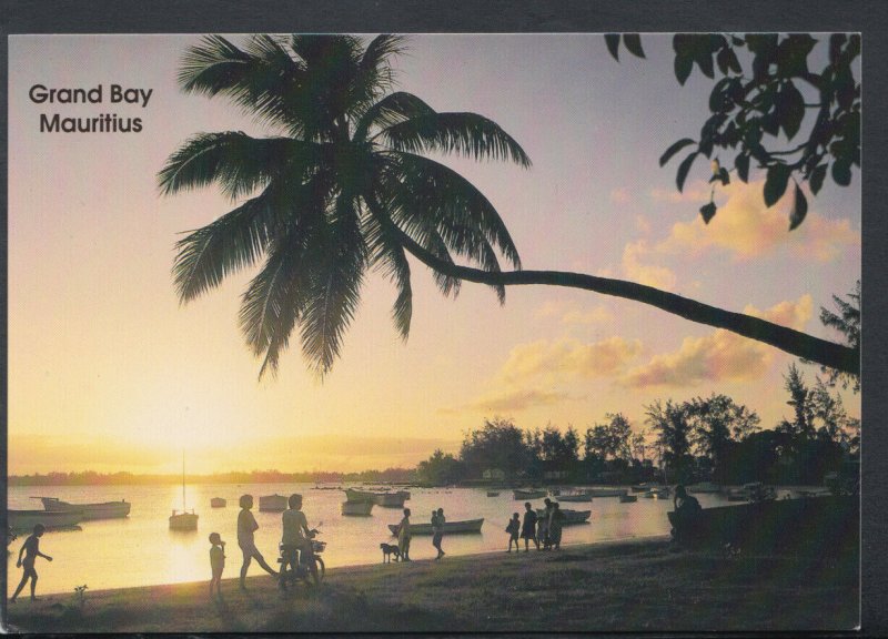 Mauritius Postcard - Sunset, Coconut Trees By The Seaside, Grand Bay   T6497