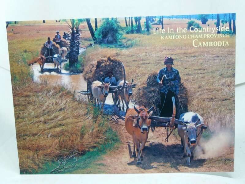 Farmers Gathering Hay Kampong Cham Province Cambodia Vtg Postcard Country Life