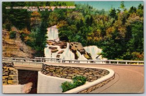 Vtg Catskill Mountains NY Horseshoe Curve & Rip Van Winkle Falls 1940s Postcard