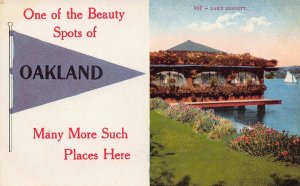 Oakland Pennant Lake Merritt California 1910c postcard