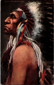 Mint Artist Postcard USA Indian Native Americans Black Bird Chief Plume Attire