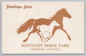 Lexington~Kentucky Horse Park Greetings~Gold White Horses~Artistic Drawing~1960s 