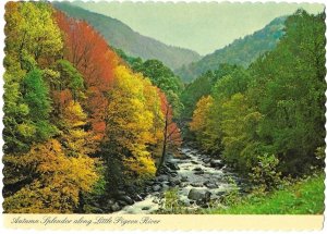 Autumn Splendor Along the Little Pigeon River Great Smoky Mountains Tennessee