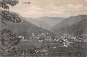 Tabarz Germany Scenic View Antique Postcard J66399