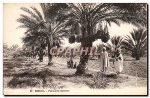 Old Postcard Biskra Palms Dattiers