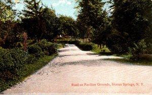 New York Saratoga Springs Road On Pavilion Grounds