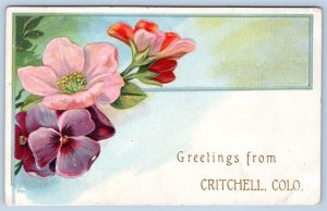 1910's GREETINGS FROM CRITCHELL COLORADO WHITTEN & DENNISON ADVERTISING POSTCARD