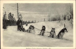 Noranda Quebec Northern Trails DOG SLEDDING HUSKY DOGS Old Postcard