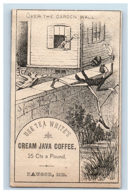 1870s-80s Tea White's Cream Java Coffee Bangor, ME F198